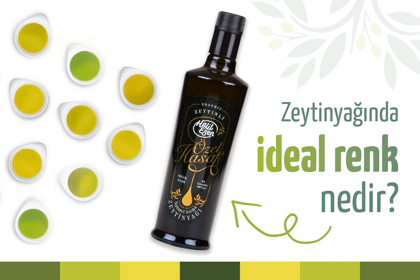 Zeytinyağının İdeal Rengi Nedir?
